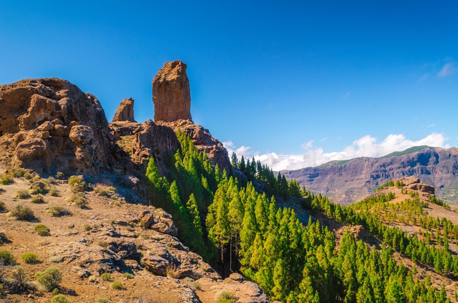 Pico de las Nieves Tour Experience