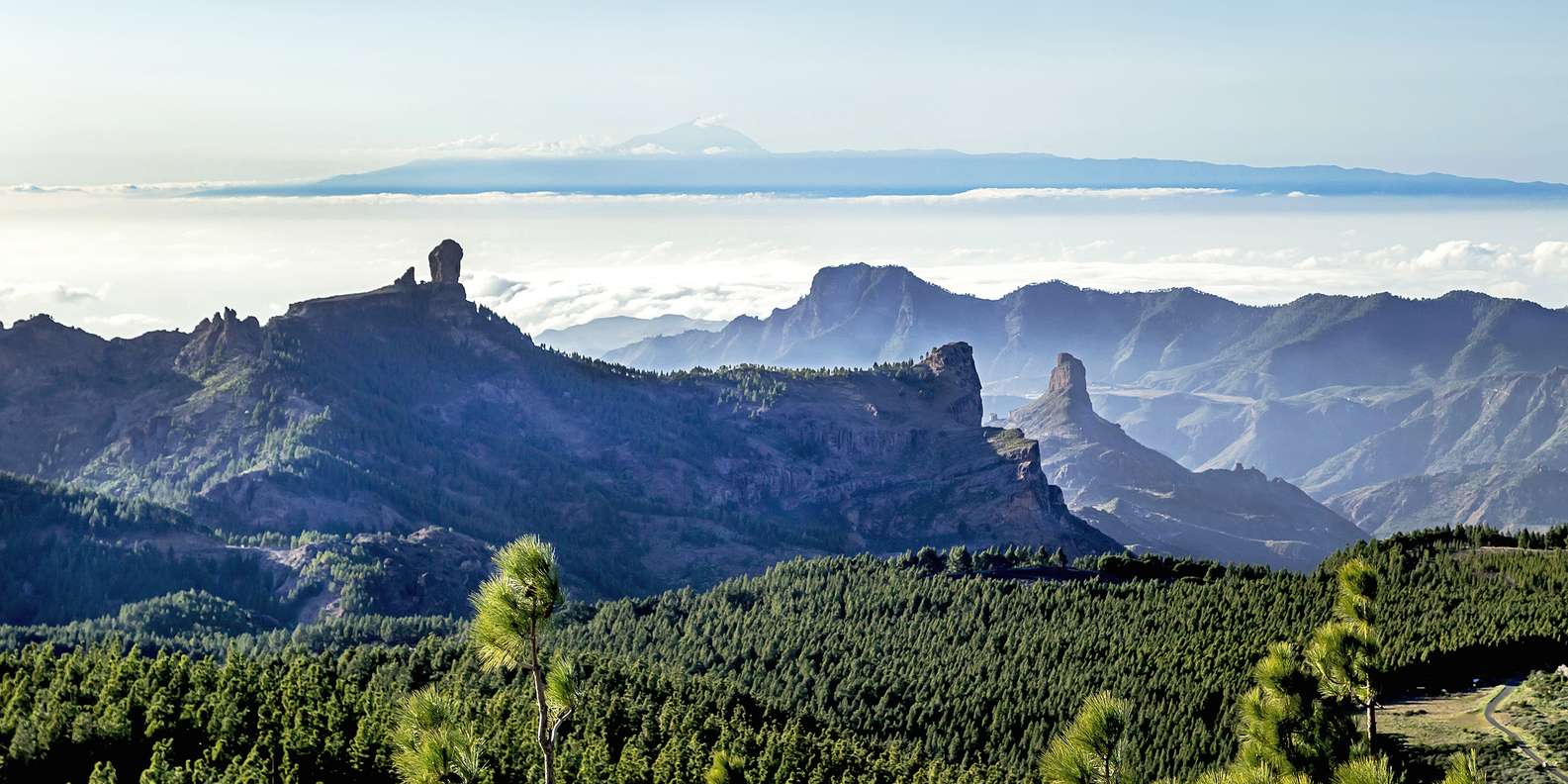 Pico De Las Nieves Tour