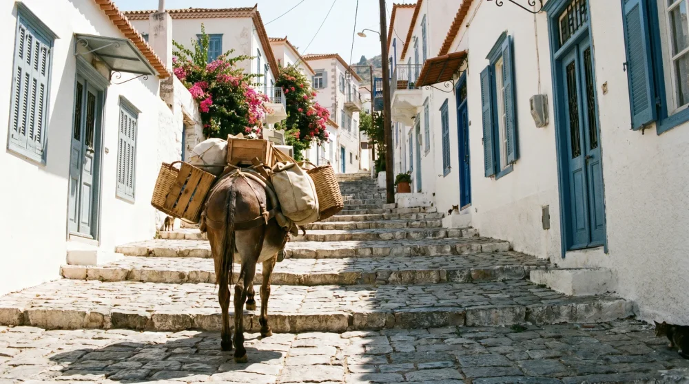 Your experience at Athens to Hydra Day Trip