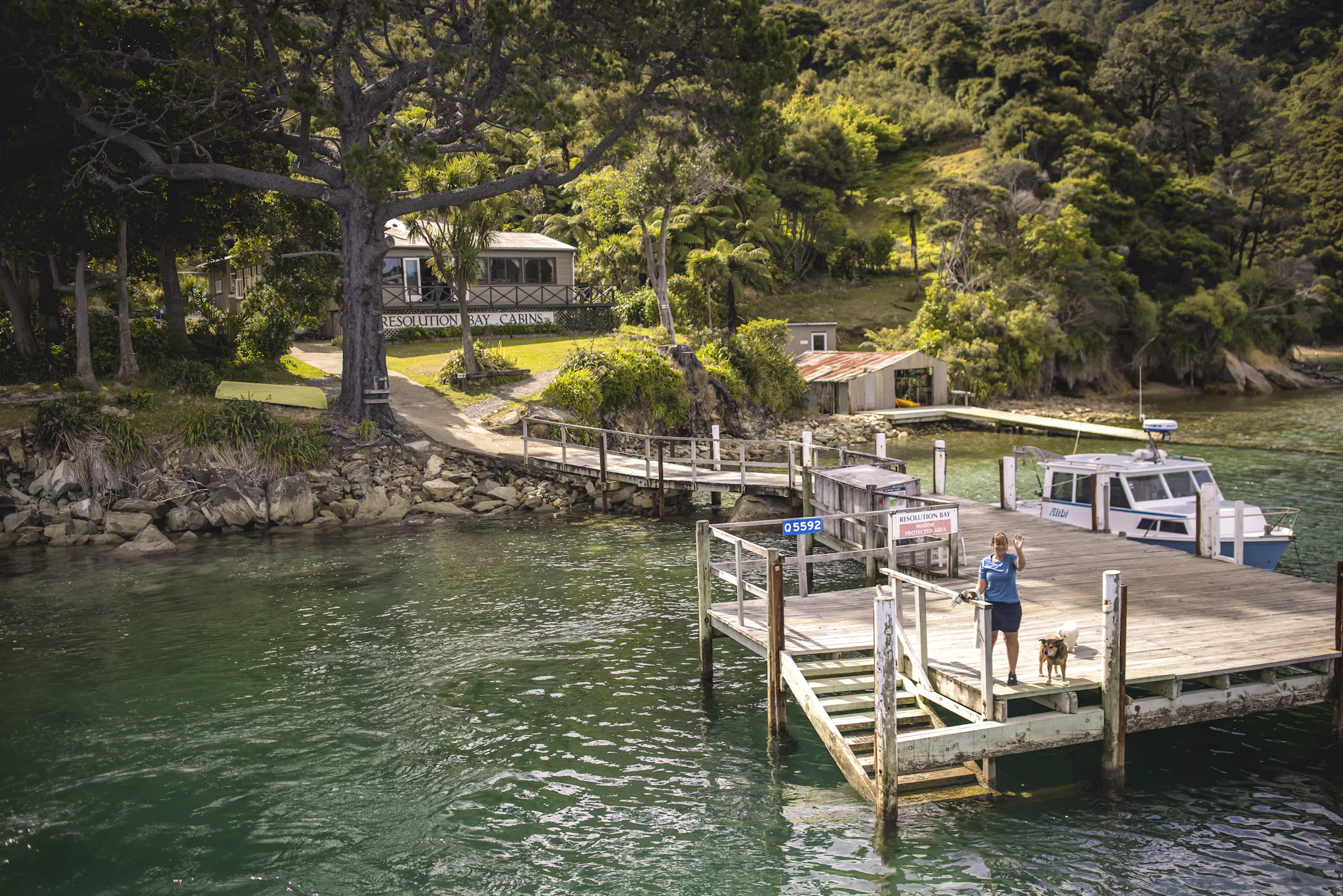 Your experience at Picton Mail Boat Cruise