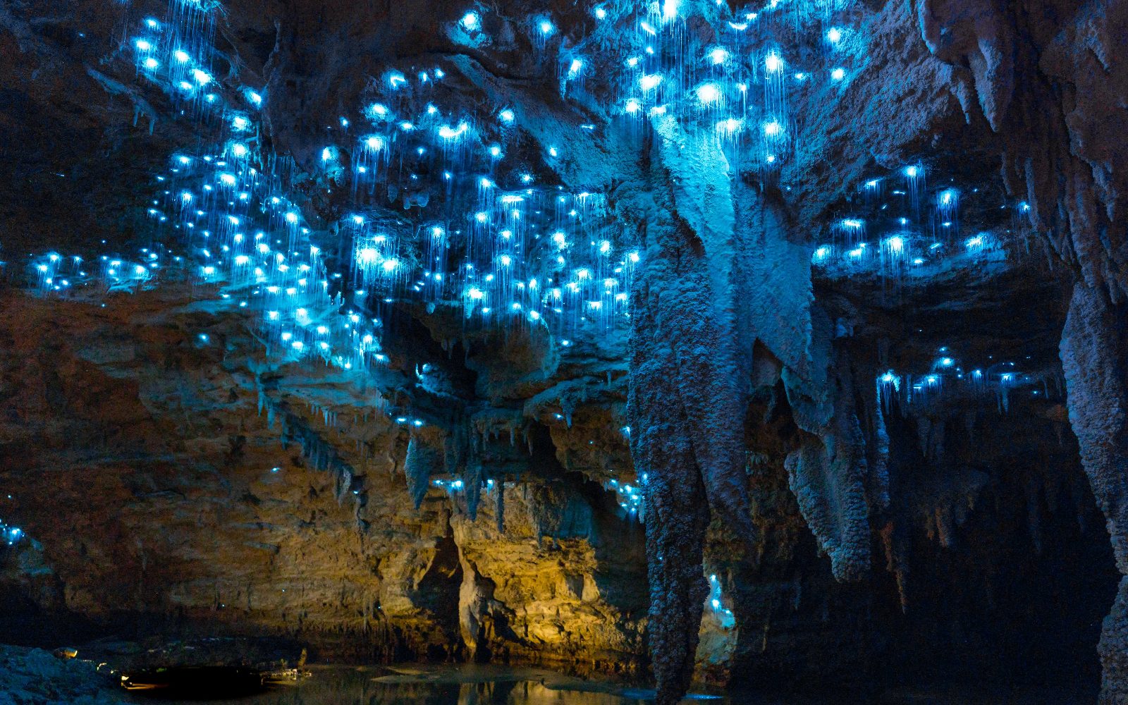Your experience at Natural Bridge Springbrook Tour