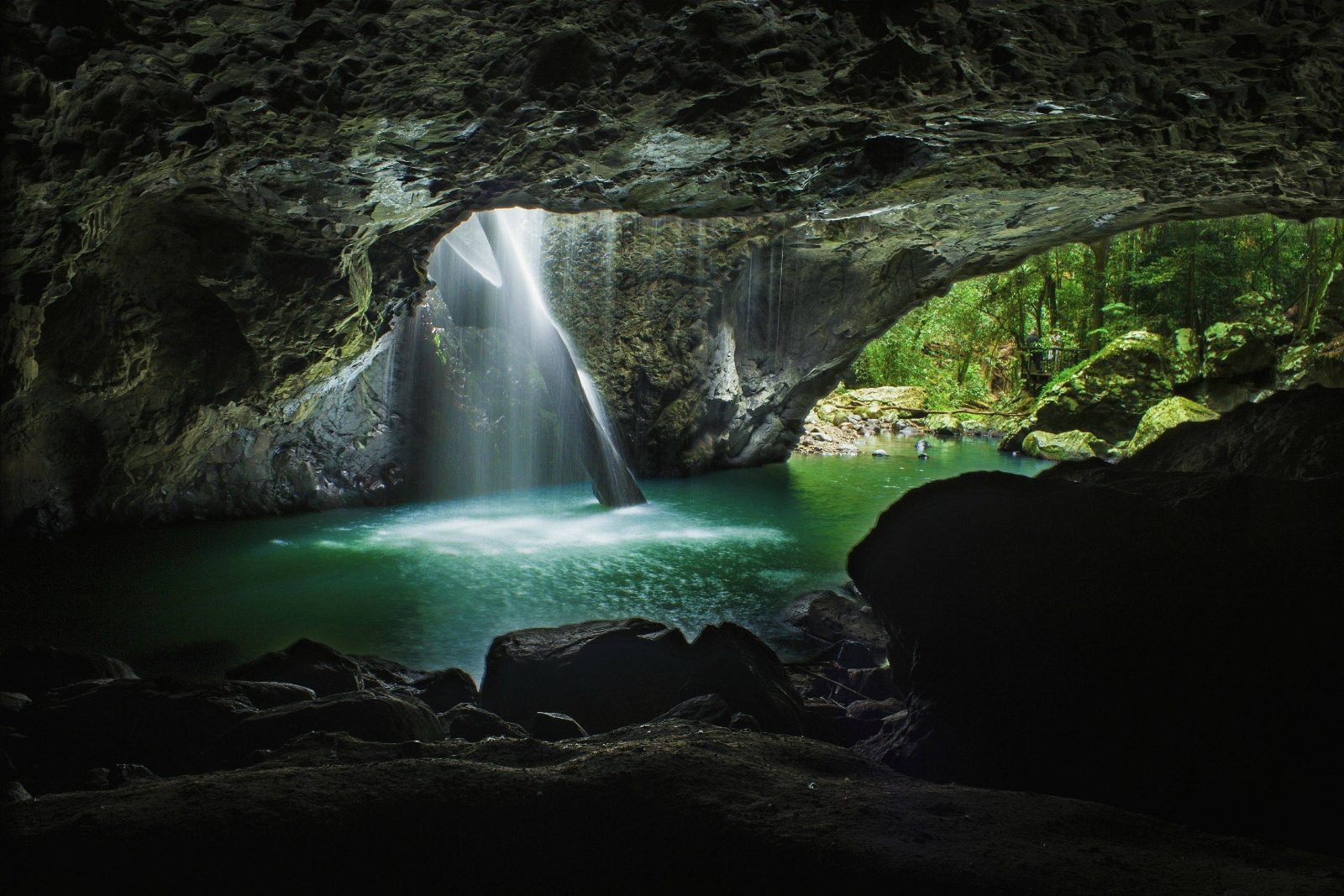 Natural Bridge Springbrook Tour Experience