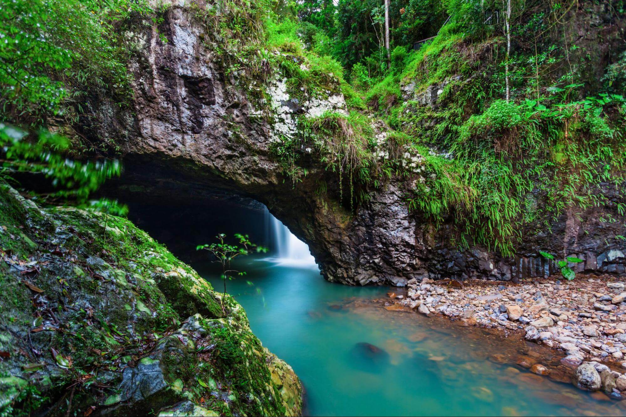 Natural Bridge Springbrook Tour