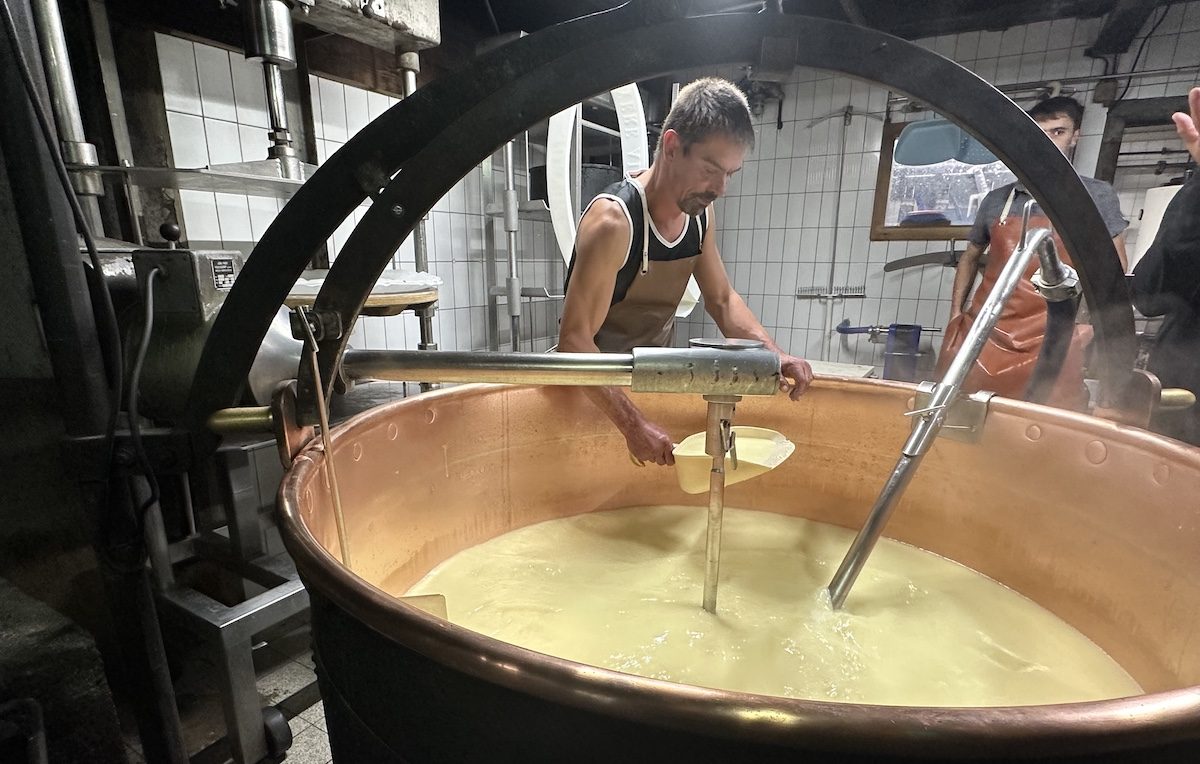 Your experience at Parmesan Cheese Factory Tour