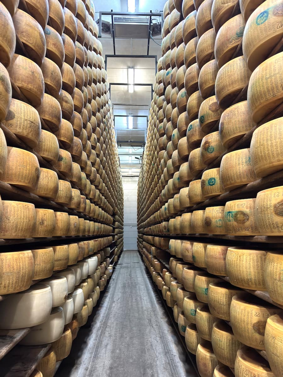 Parmesan Cheese Factory Tour