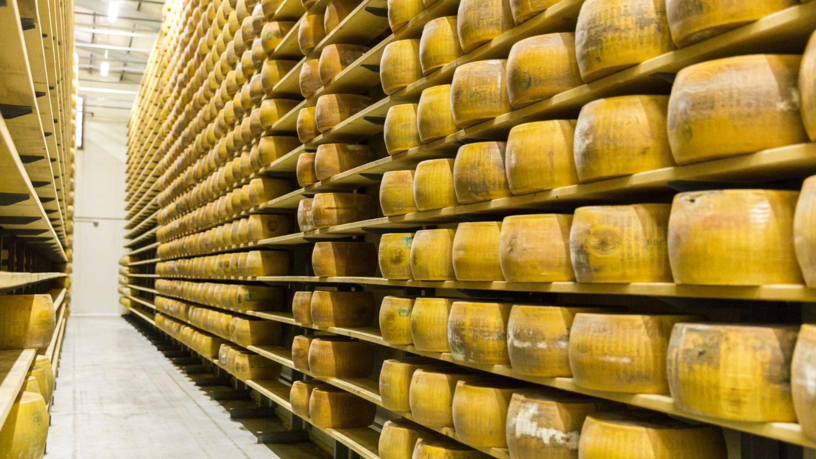 Parmesan Cheese Factory Tour in Parma