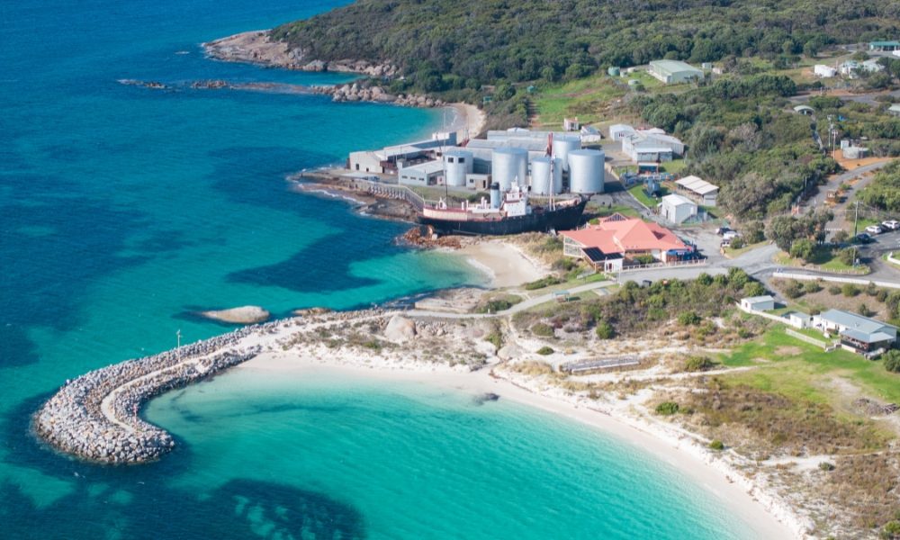 Albany Whale Watching from King George Sound
