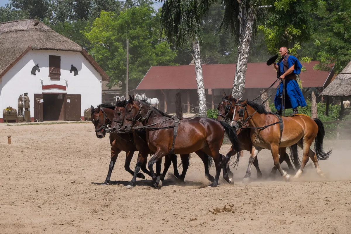 Stable Complex