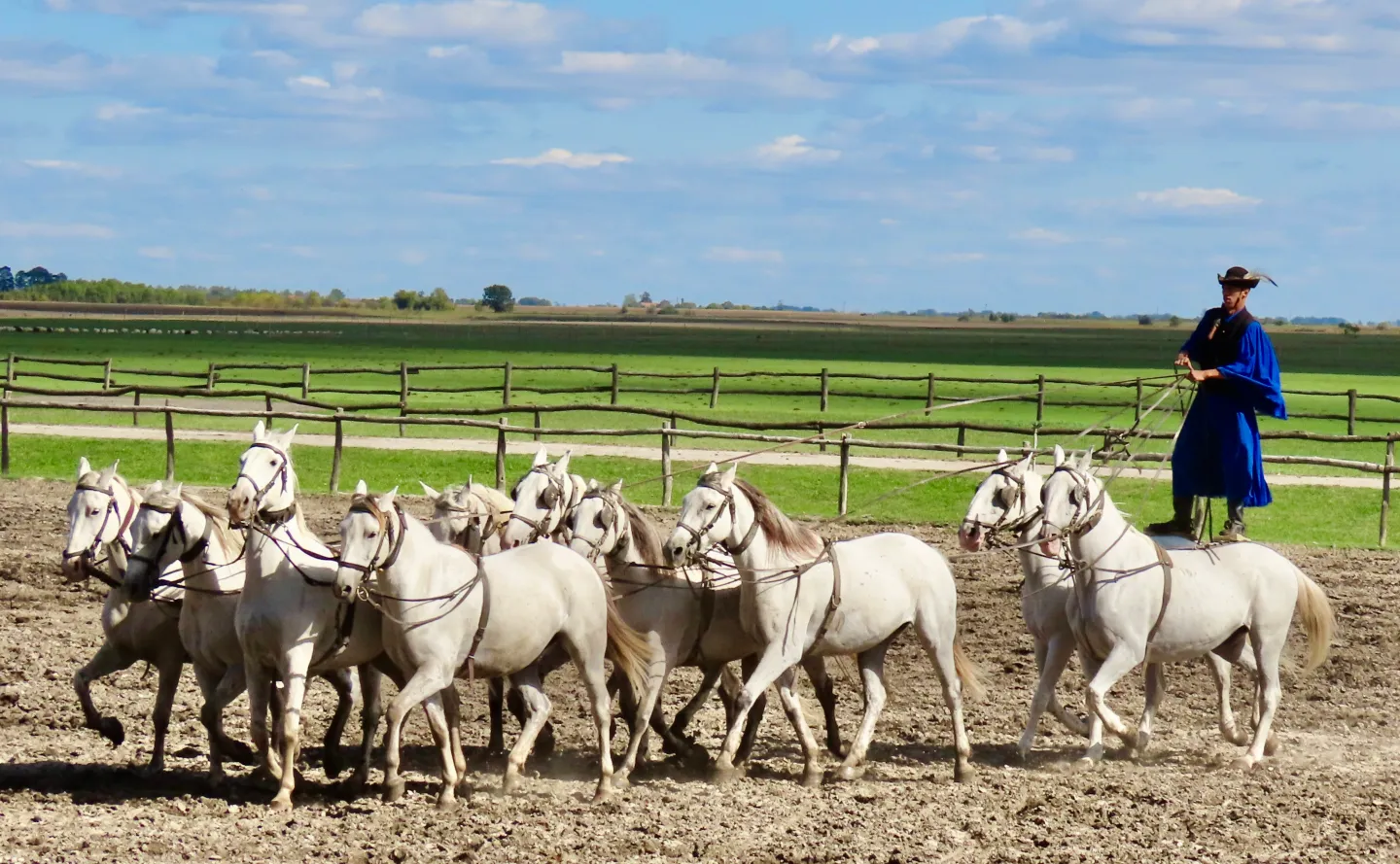 Experience the Puszta Horse Show
