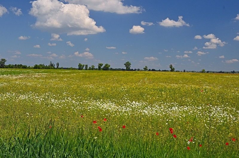 Kiskunság National Park