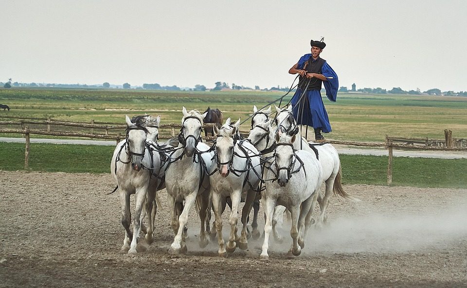 Puszta Horse Show