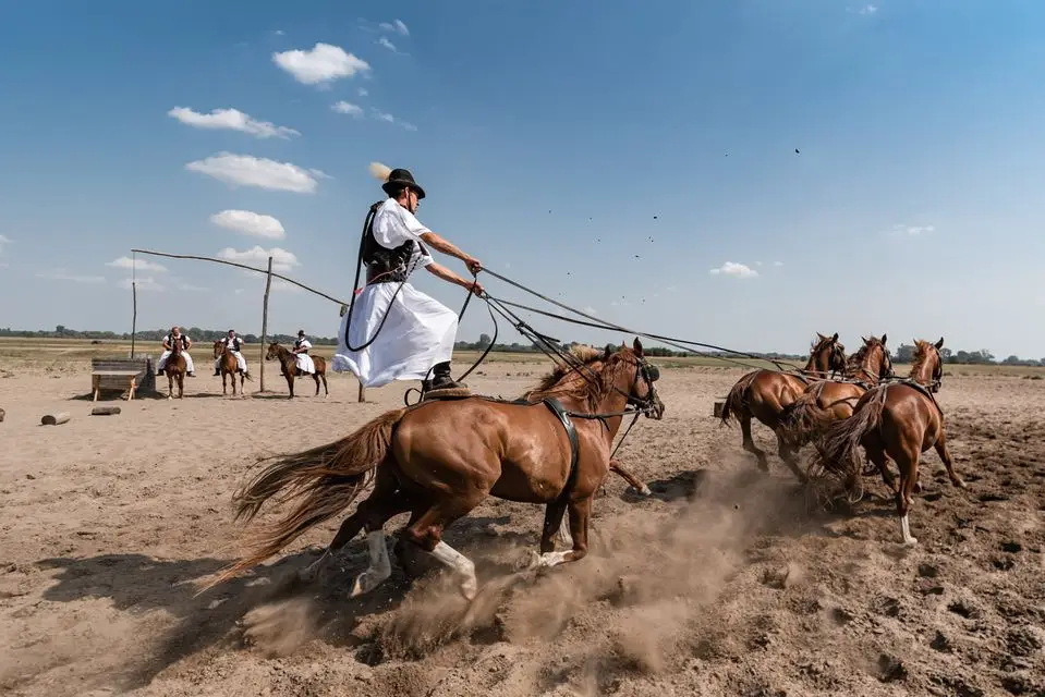 Your experience at Puszta Horse Show