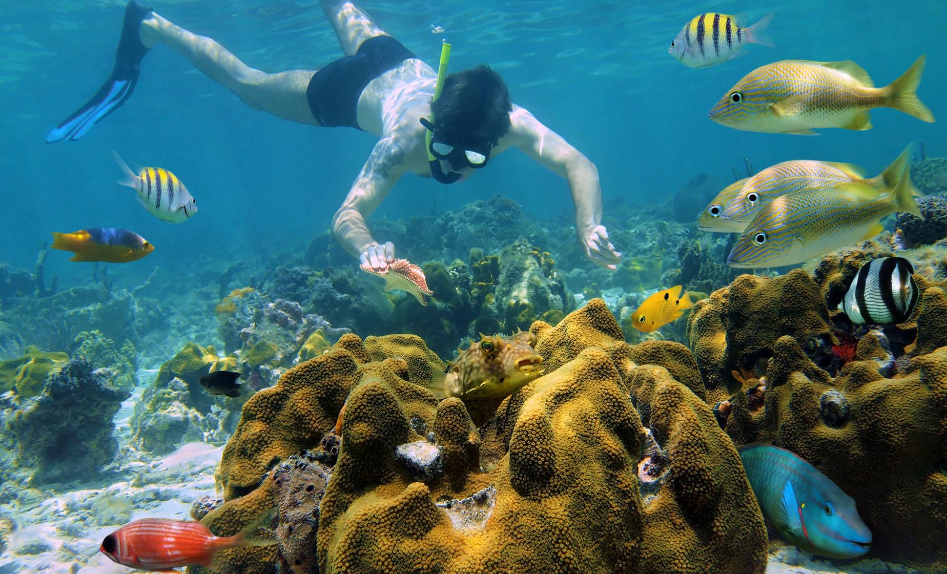 Roatan Snorkeling Tours