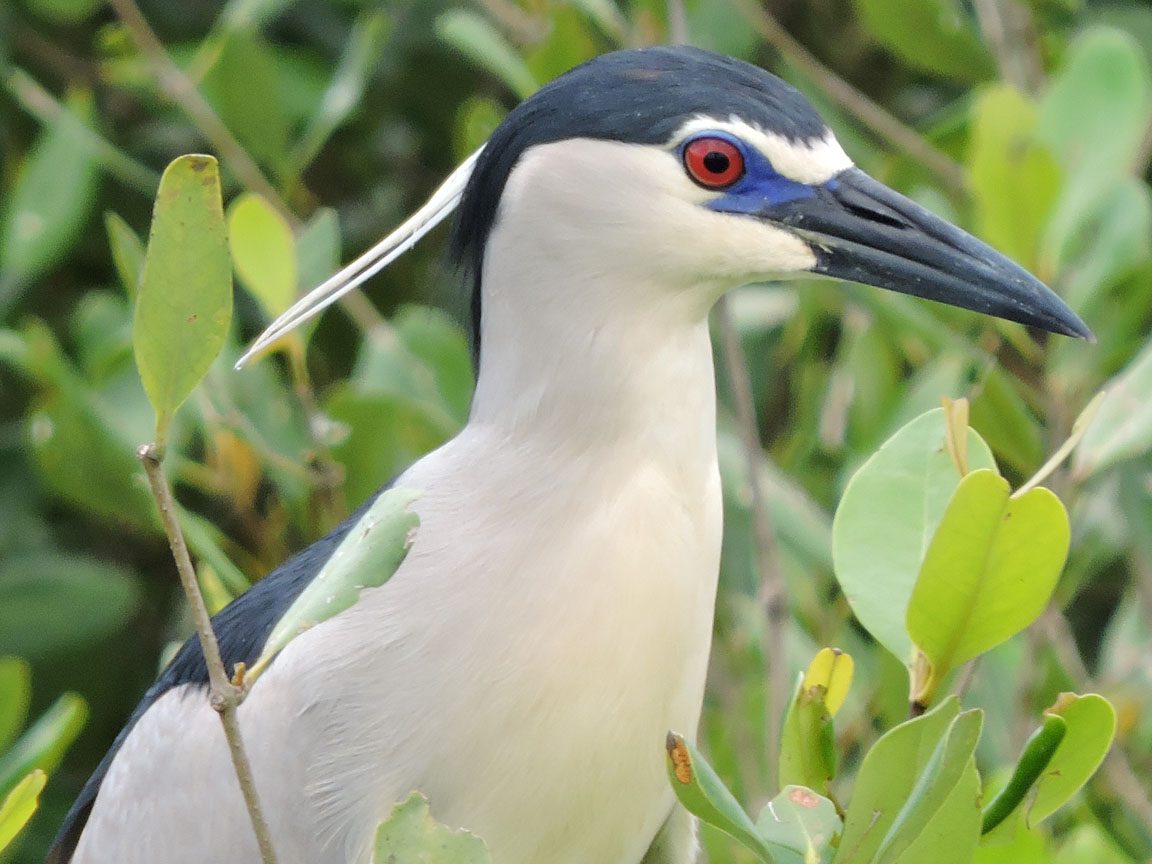 Vam Sat Ecological Tourist Zone