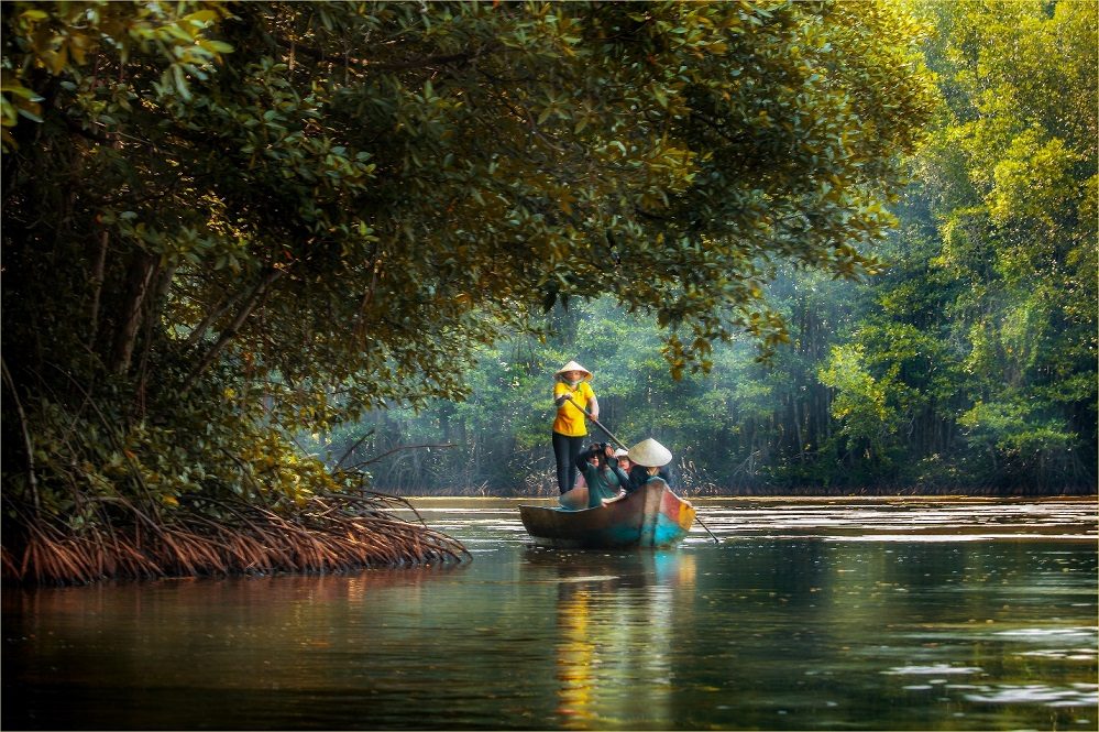 Mangrove Canal Network