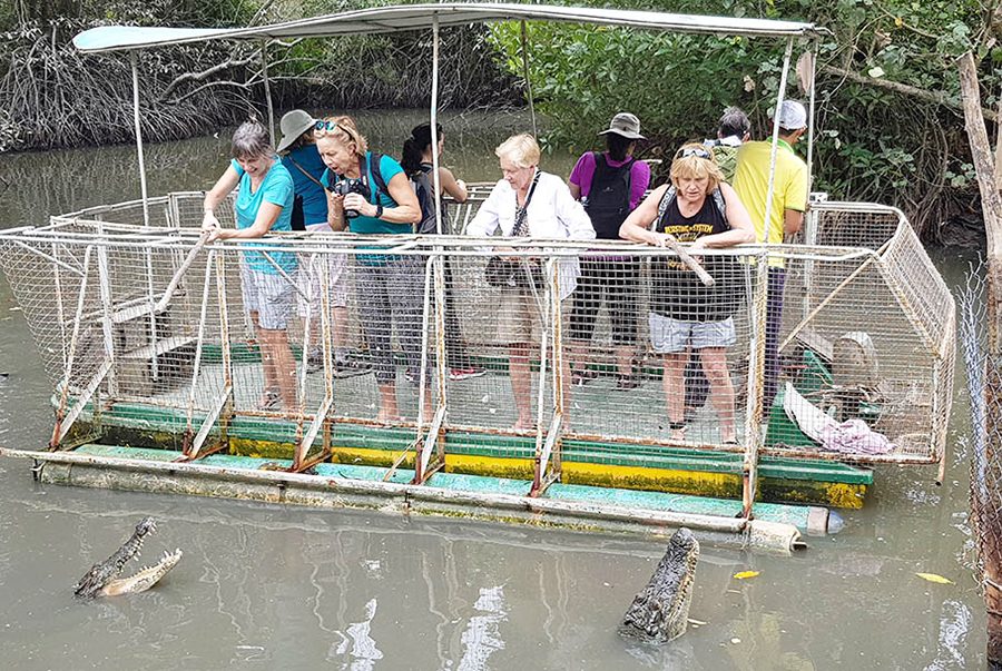 Crocodile Farm
