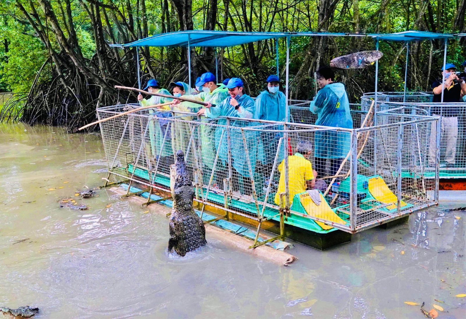 Crocodile Conservation