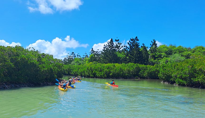 Amber Island Kayak Tour