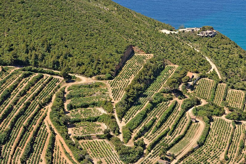 Barcelona Sailing Wine Tour Along the Catalan Coast