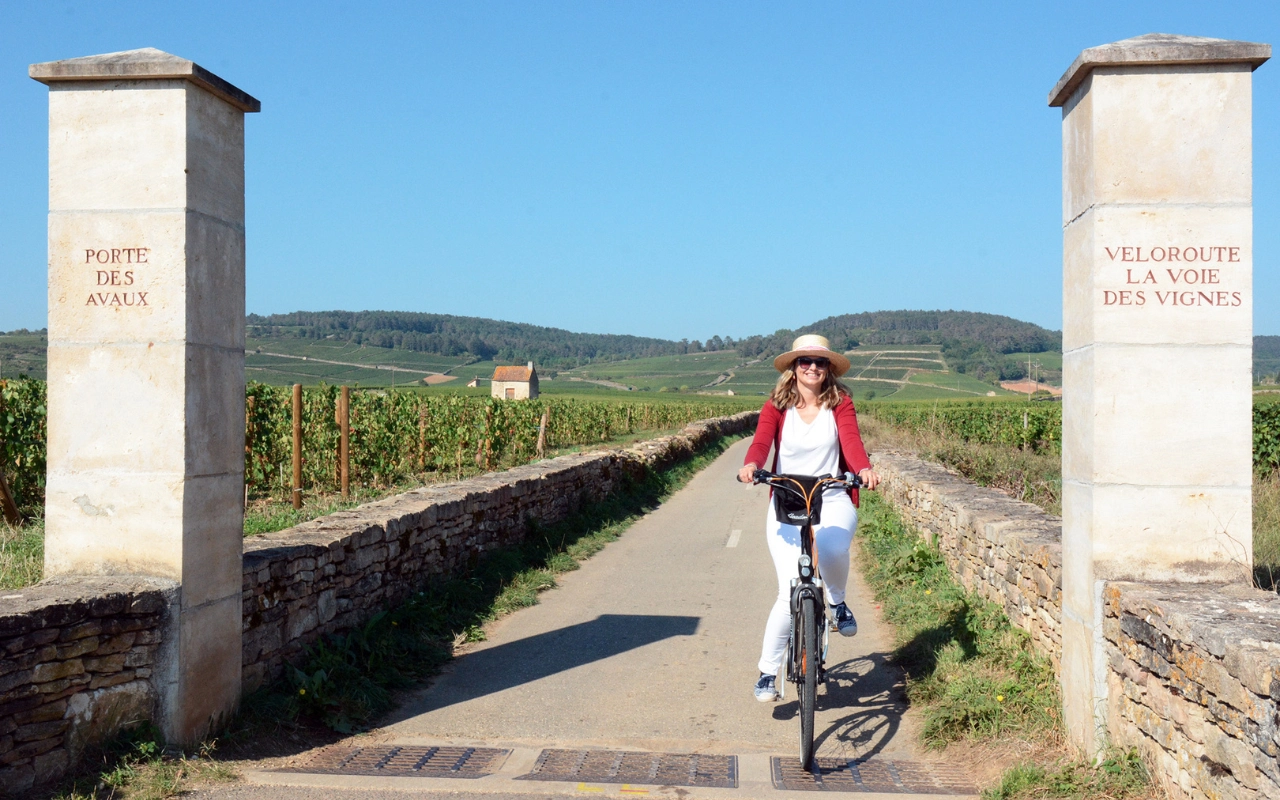 Beaune Wine Bike Tour Through Burgundy Vineyards