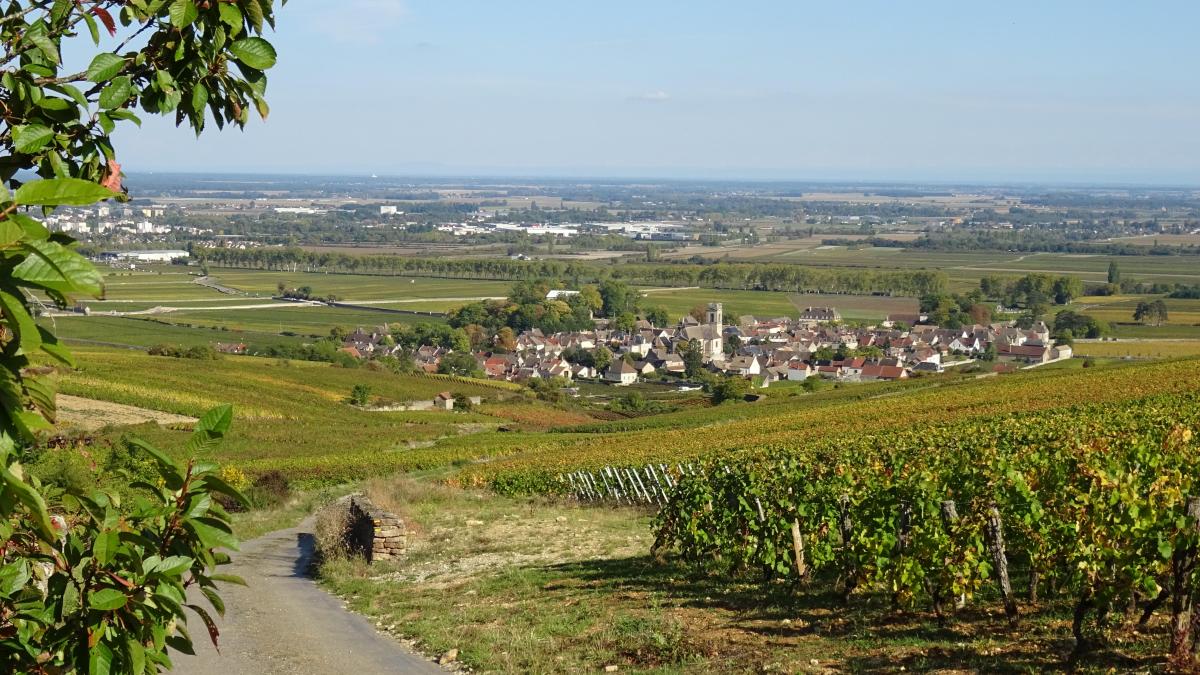 Pommard Village