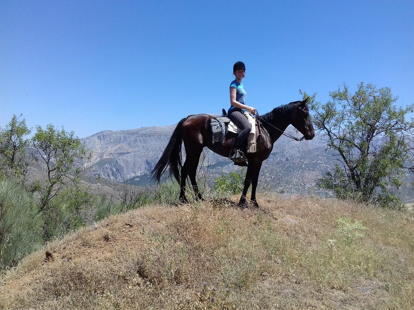 Horse Riding Benidorm Prices