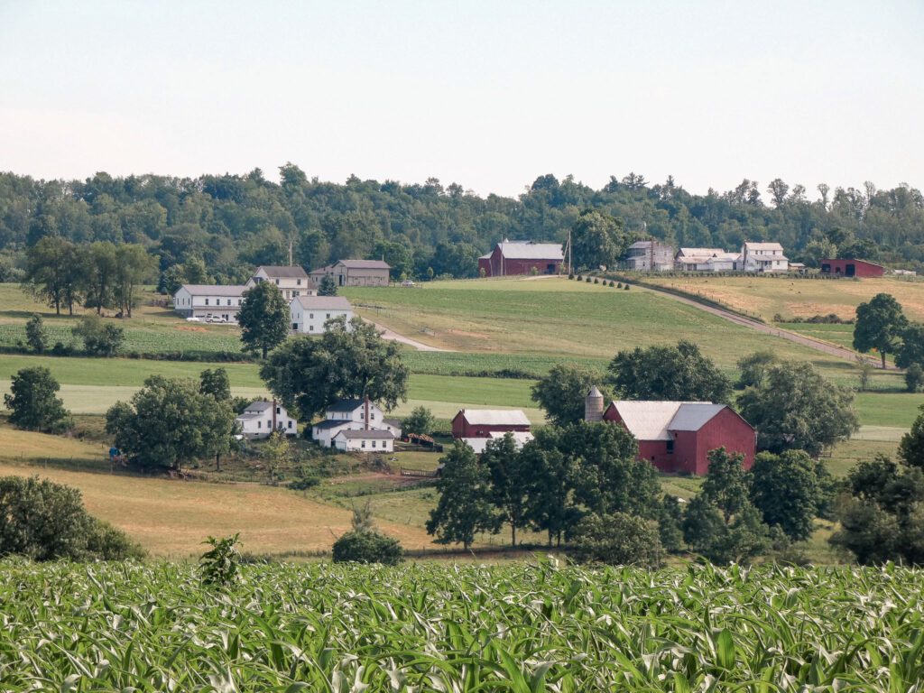 Farm Grounds