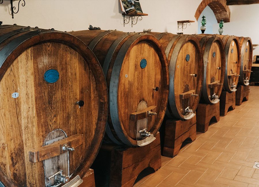 Best Wine Tasting Lucca