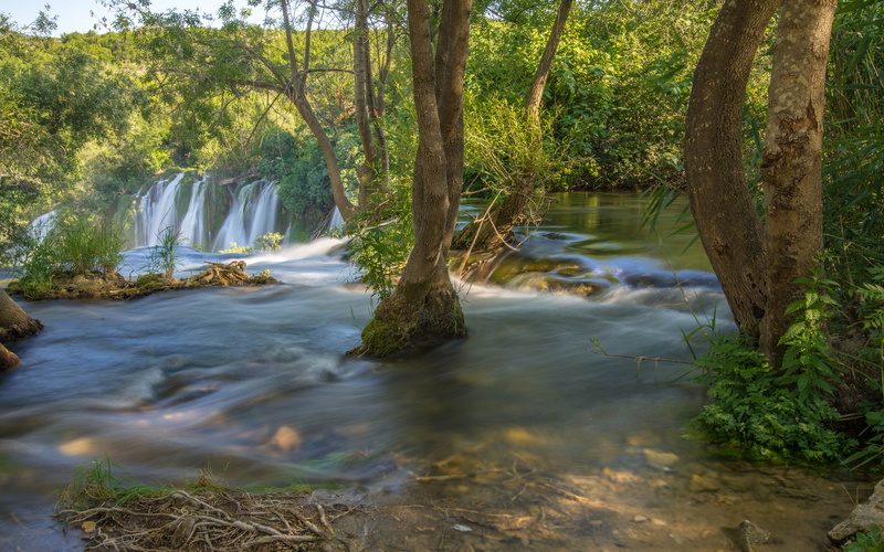River Banks