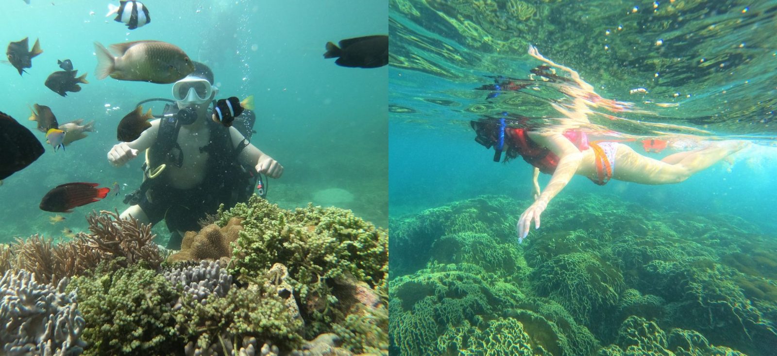 Cham Island Snorkeling Price