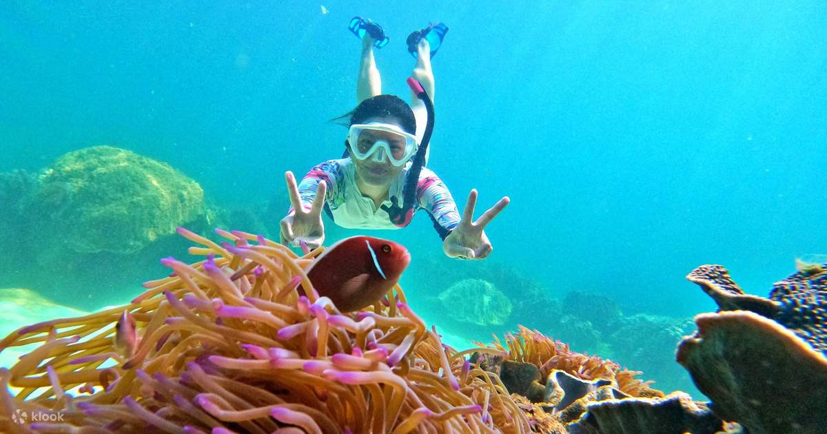 Phu Quoc Snorkeling Price