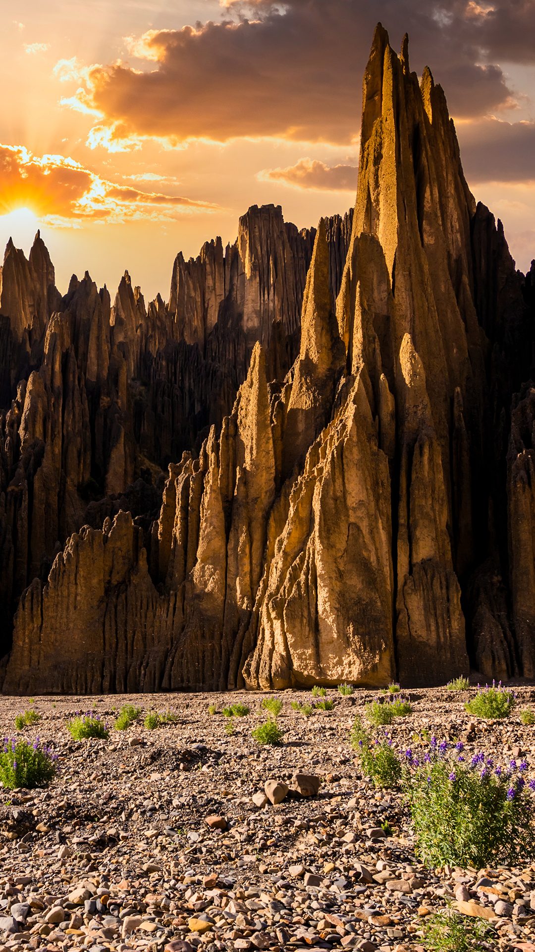 Valle De Las Animas Hike