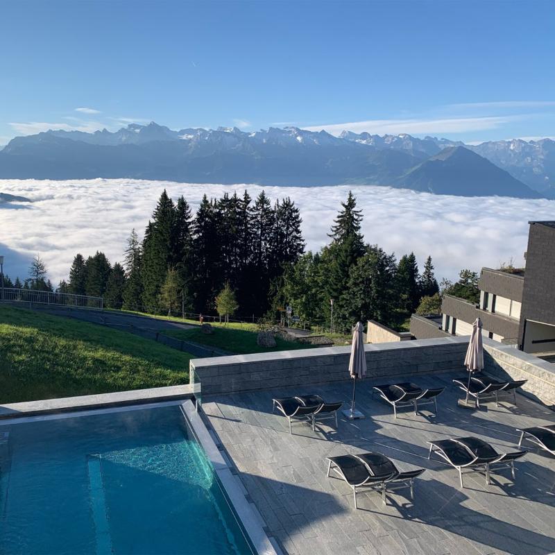 Sun Terrace