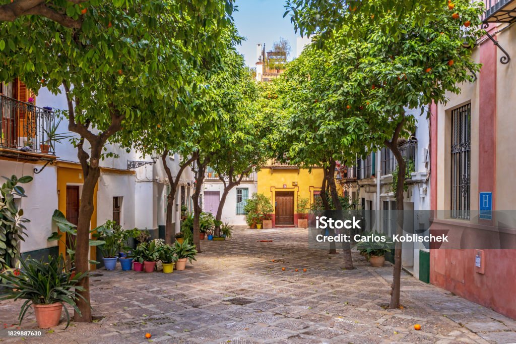 Barrio Santa Cruz