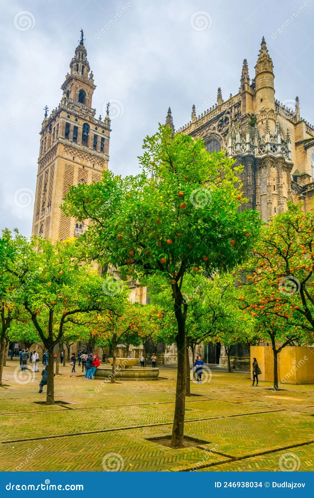Explore the Patio de los Naranjos