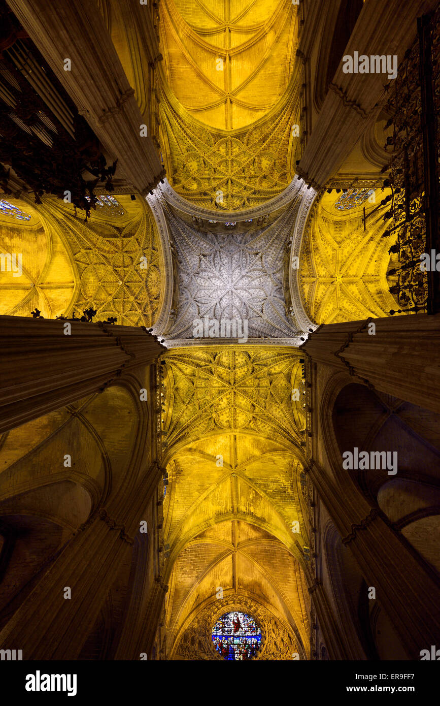 Cathedral Nave and Stained Glass Windows