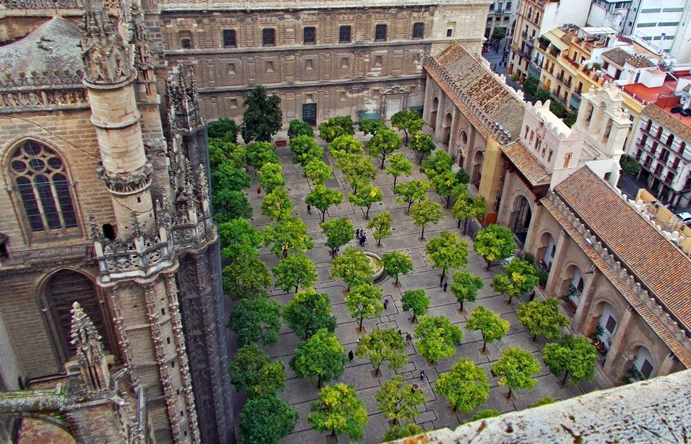 Patio de los Naranjos