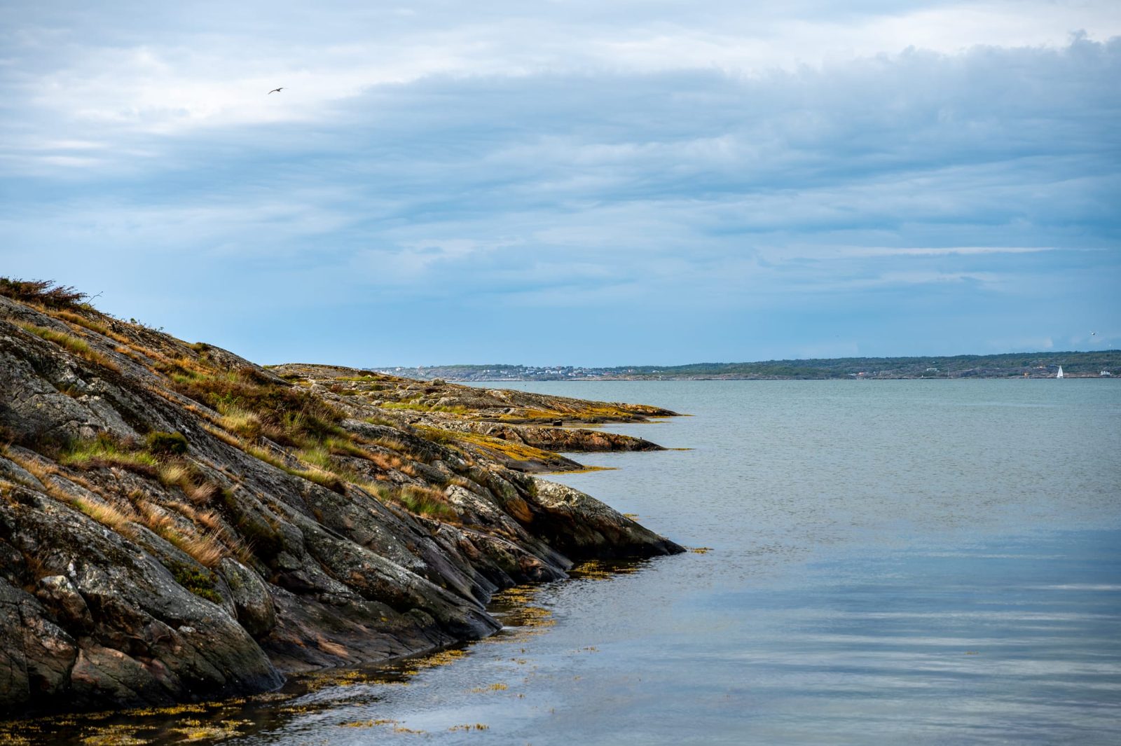 Brännö