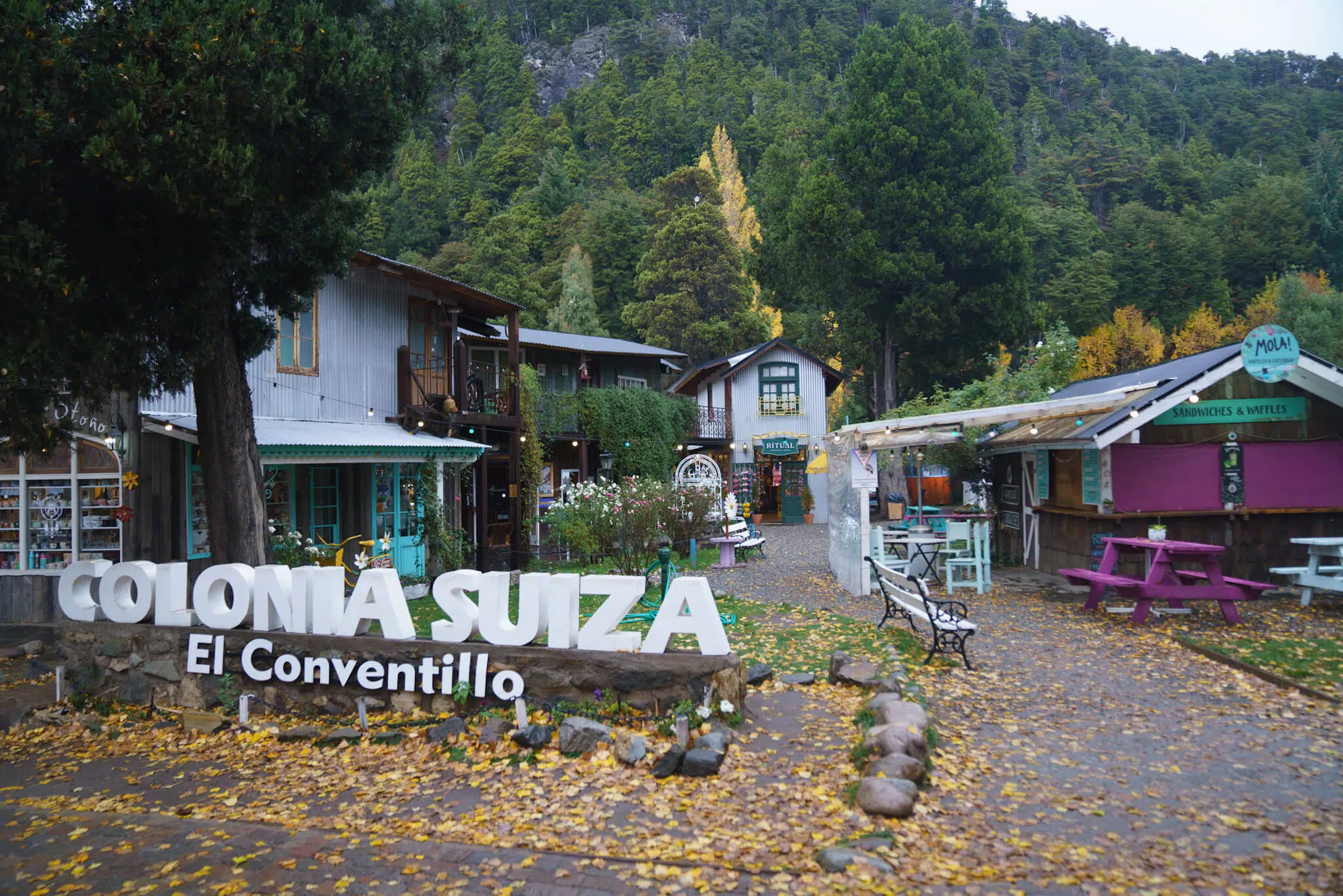 Colonia Suiza