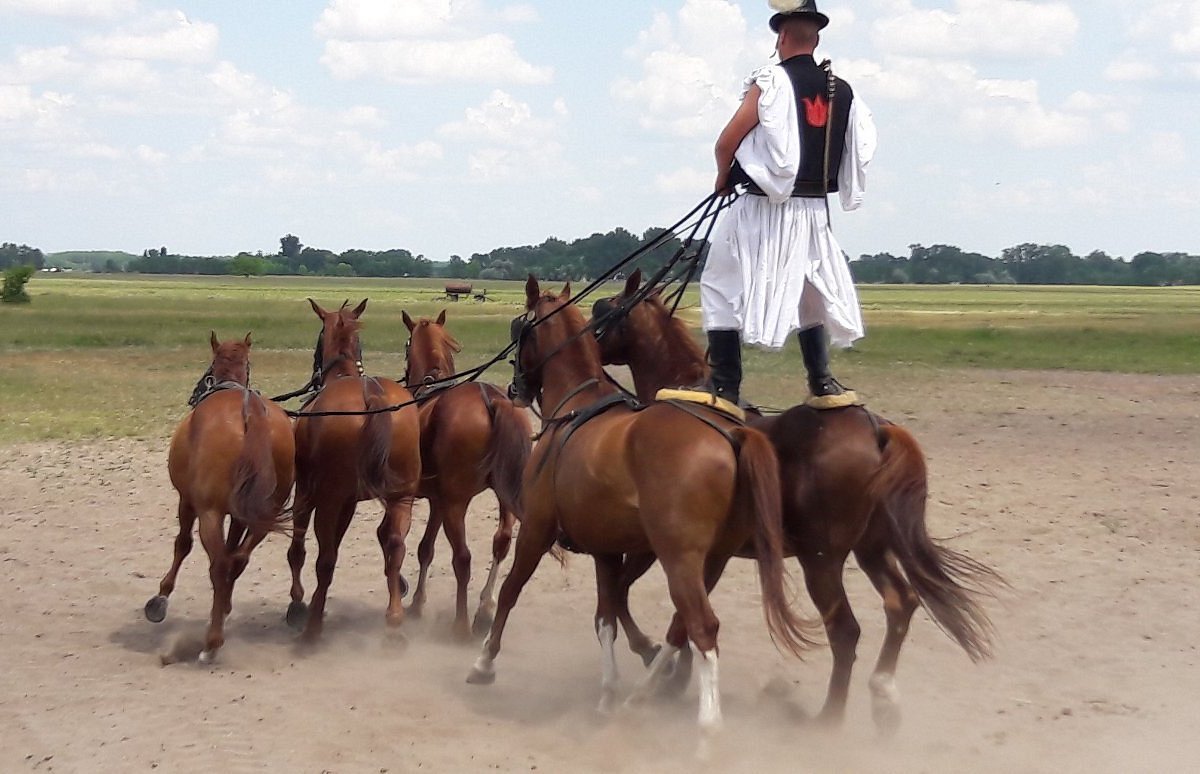 Bugac Puszta Horse Show