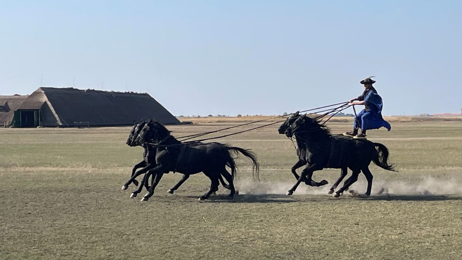 Puszta Five