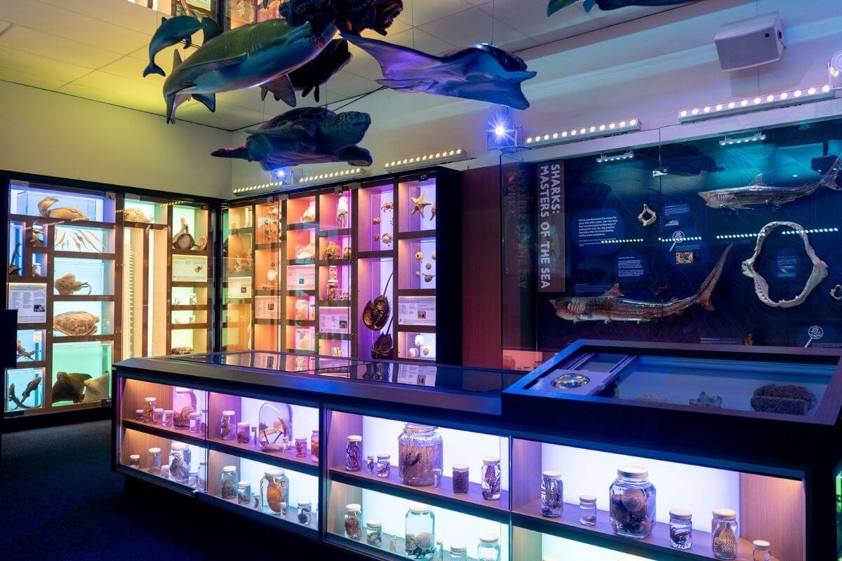 Marine Gallery