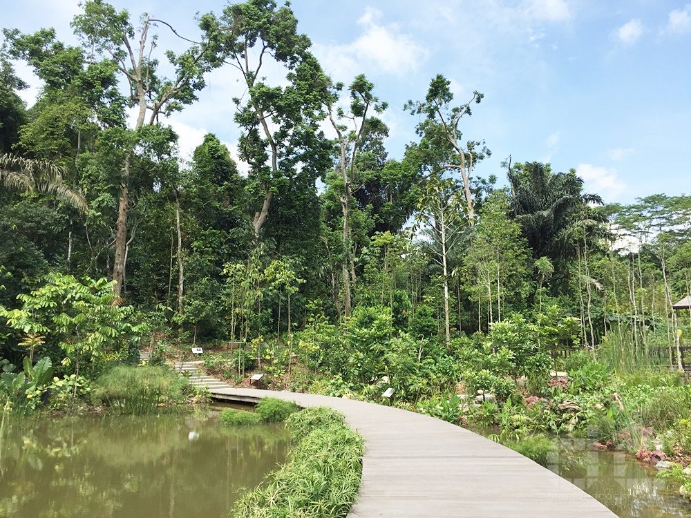 Botanic Gardens