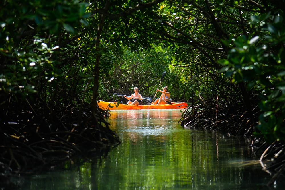 Amber Island Kayak Expedition