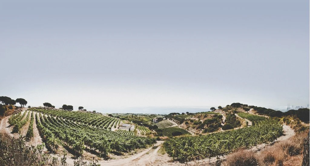 Panoramic Viewpoint