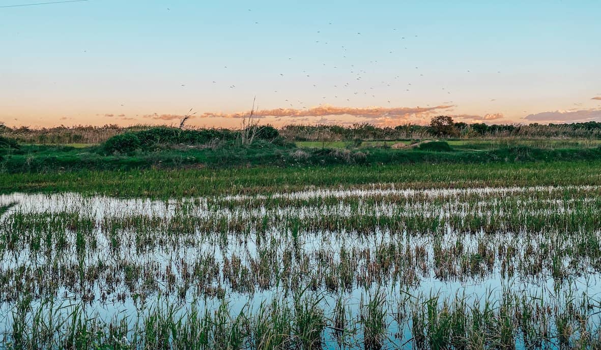 Albufera Natural Park
