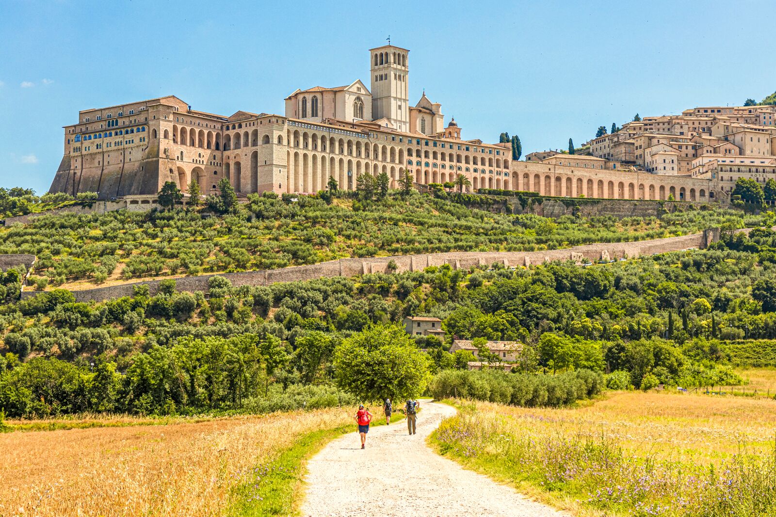 Florence to Assisi Tour