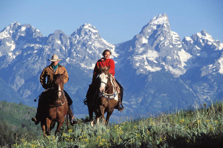 Jackson Hole Horseback Riding