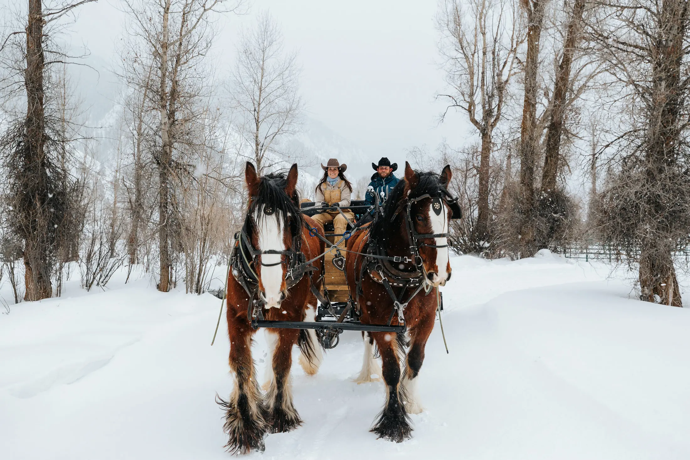 Your experience at Jackson Hole Horseback Riding