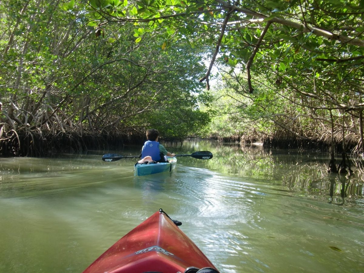 Oleta River Kayak Rental
